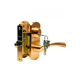 Ручка  дверная ARCHIE T111-X11I-V1 (мат.латунь)