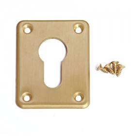 Накладка под цилиндр C 017-1GP